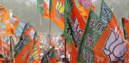 bjp logo flag