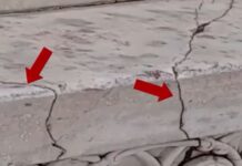 multiple-cracks-appear-on-taj-mahal-after-rain-pounds-agra