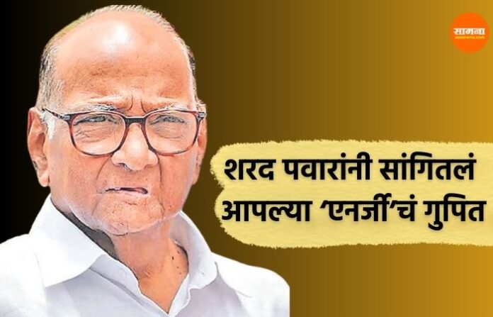 sharad pawar energy