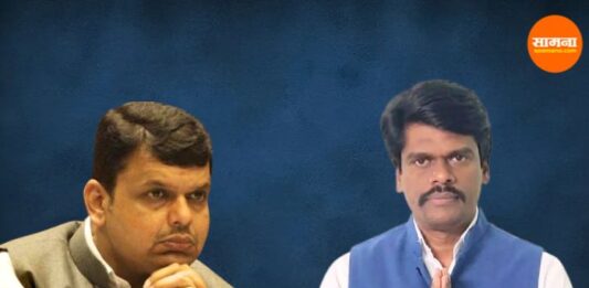 Devendra Fadnavis And Brijbhushan pazare