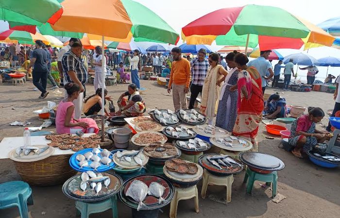 हर्णे बंदर पर्यटकांनी फुल्ल; पापलेट, कोळंबी, सुरमई खरेदीसाठी झुंबड