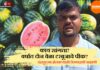 Watermelon Farmer Chandrapur