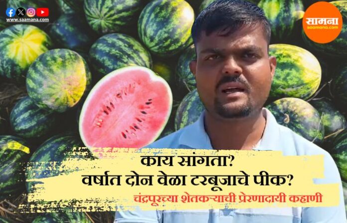 Watermelon Farmer Chandrapur